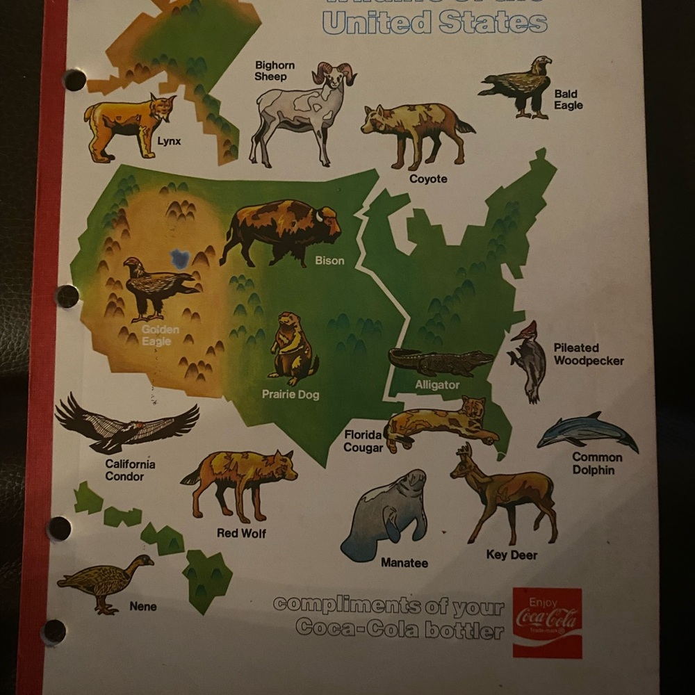 Coca Cola Wildlife Notebook with Red and Green Cover